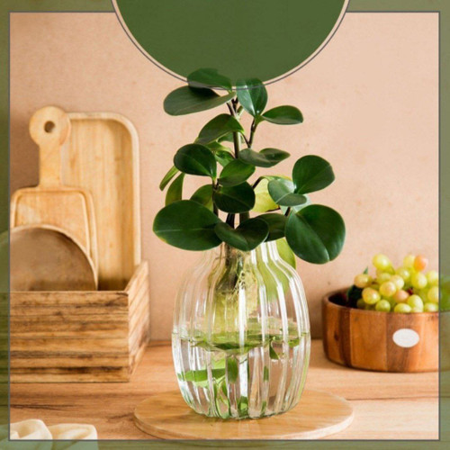 گلدان شیشهای